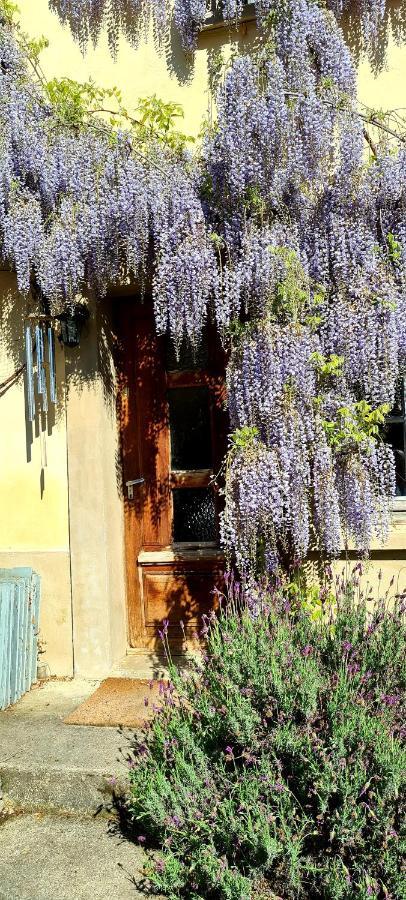 La Maison Des Tisserandes Montségur Exteriér fotografie
